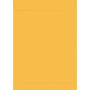 ENVELOPE SACO - FORONI - 185X248 80GRS. 240 (Caixa c/ 250 unid.)